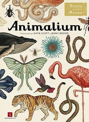 ANIMALIUM (CASTELLA) | 9788415979463 | SCOTT, KATIE