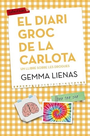 DIARI GROC DE LA CARLOTA, EL | 9788416334247 | LIENAS, GEMMA