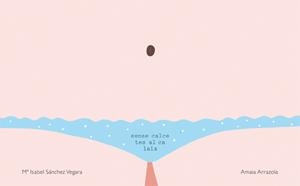 SENSE CALCETES AL CALAIX | 9788416670031 | SANCHEZ VEGARA, M.I. - ARRAZOLA, AMAIA