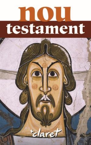 NOU TESTAMENT (INTEGRA) | 9788498462456 | SIDERA PLANA, JAUME/RICART I FÀBREGAS, IGNASI