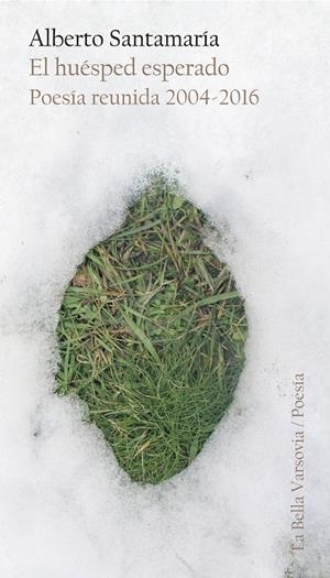 HUESPED ESPERADO, EL | 9788494500701 | SANTAMARIA, ALBERTO