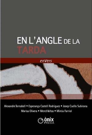 EN L'ANGLE DE LA TARDA | 9788494676079 | ENVERS; AAVV
