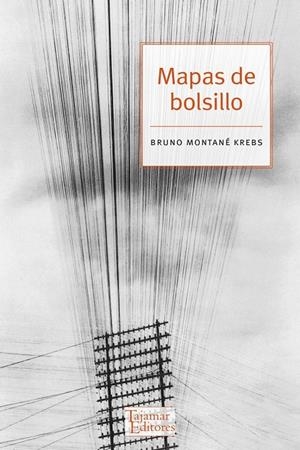 MAPAS DE BOLSILLO | 9789569043390 | MONTANE KREBS, BRUNO
