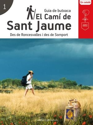 CAMI DE SANT JAUME: DES DE RONCESVALLES I DES DE SOMPORT | 9788490346174 | AAVV