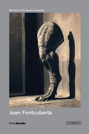 JOAN FONTCUBERTA | 9788415691655 | FONTCUBERTA, JOAN