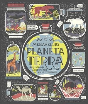 MERAVELLOS PLANETA TERRA, EL | 9788491378778 | IGNOTOFSKY, RACHEL