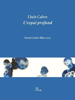 ESPAI PROFUND, L' | 9788475888248 | CALVO, LLUIS