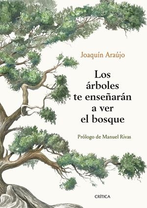 ARBOLES TE ENSEÑARAN A VER EL BOSQUE, LOS | 9788491992080 | ARAUJO, JOAQUIN